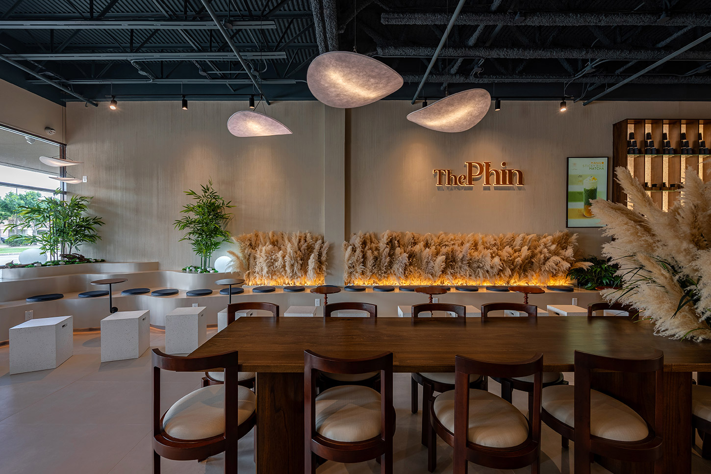 The Phin